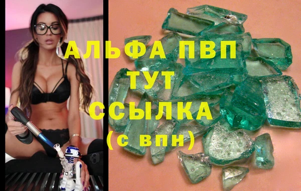 сатива Гусь-Хрустальный
