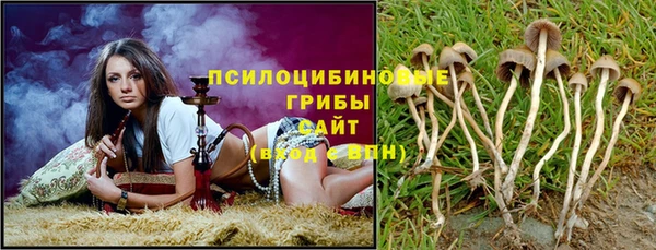 ALPHA PVP Гусиноозёрск