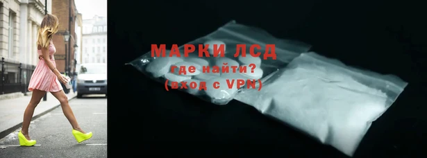 сатива Гусь-Хрустальный