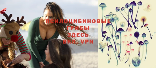 ALPHA PVP Гусиноозёрск