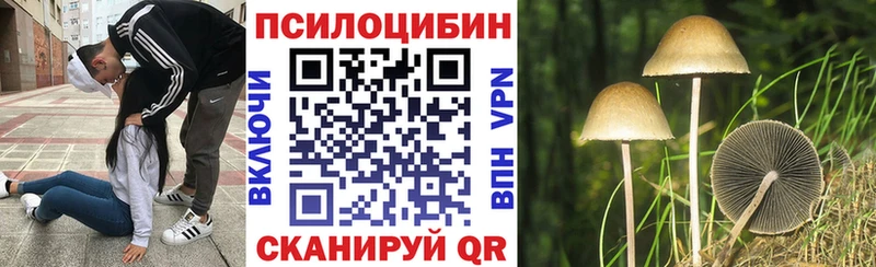Псилоцибиновые грибы Cubensis  Можга 