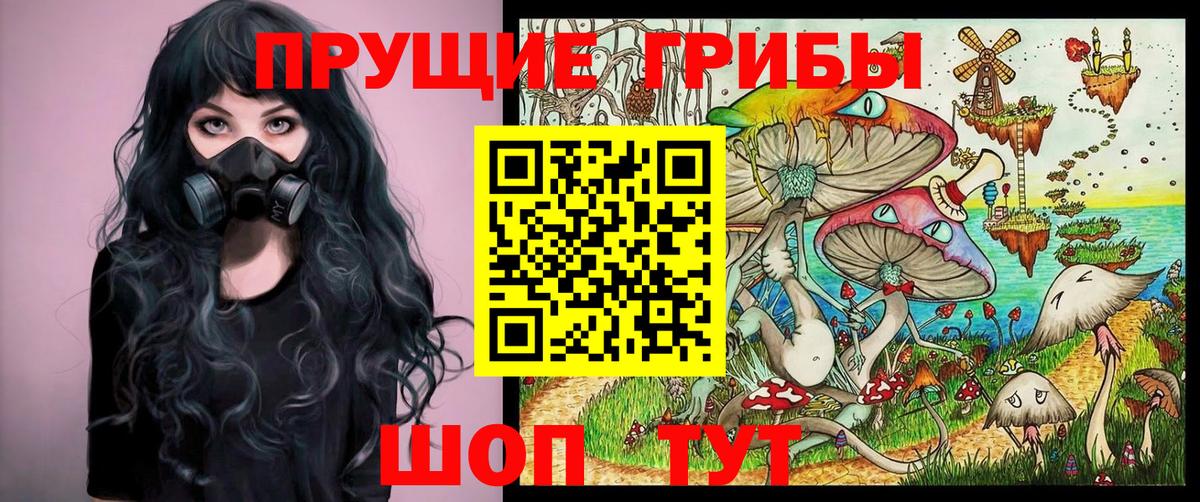 Псилоцибиновые грибы прущие грибы  Псилоцибиновые грибы прущие грибы  Можга 