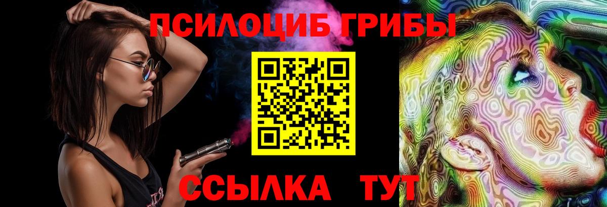 Галлюциногенные грибы Psilocybe  Вход с VPN  как найти   Псилоцибиновые грибы Cubensis  Можга 
