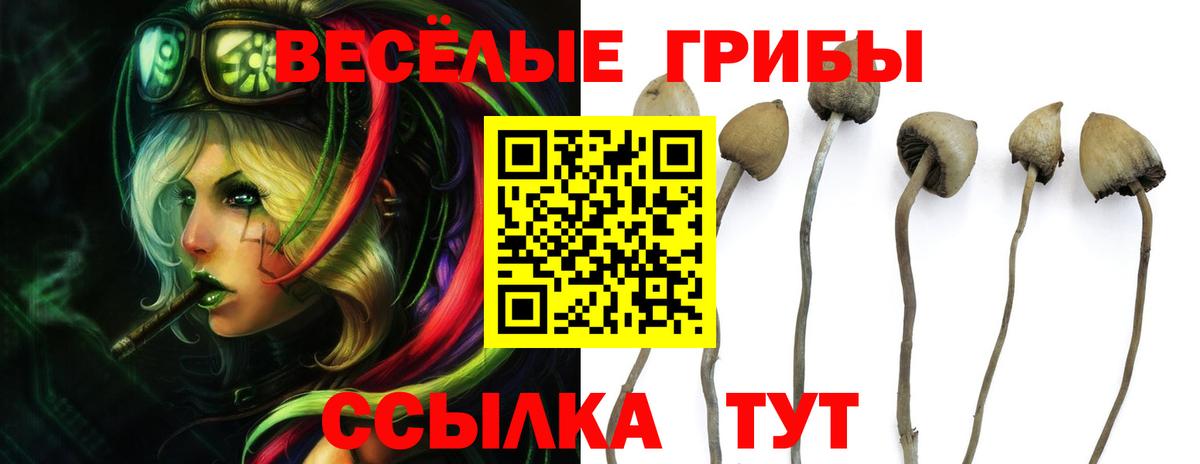 Галлюциногенные грибы прущие грибы Можга